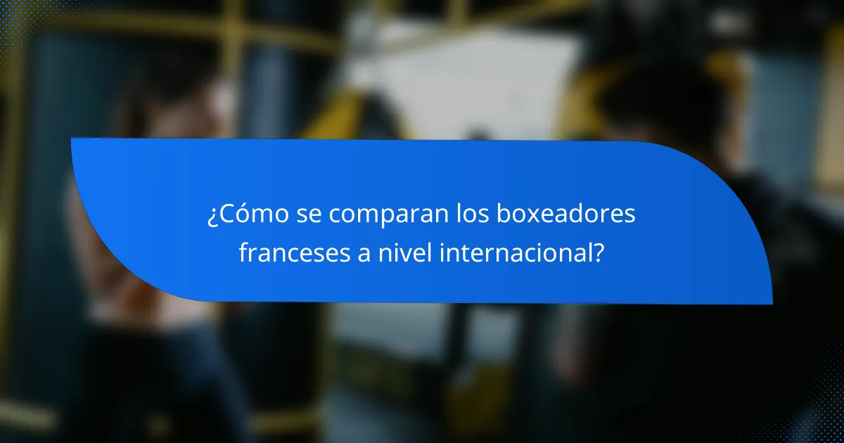 ¿Cómo se comparan los boxeadores franceses a nivel internacional?