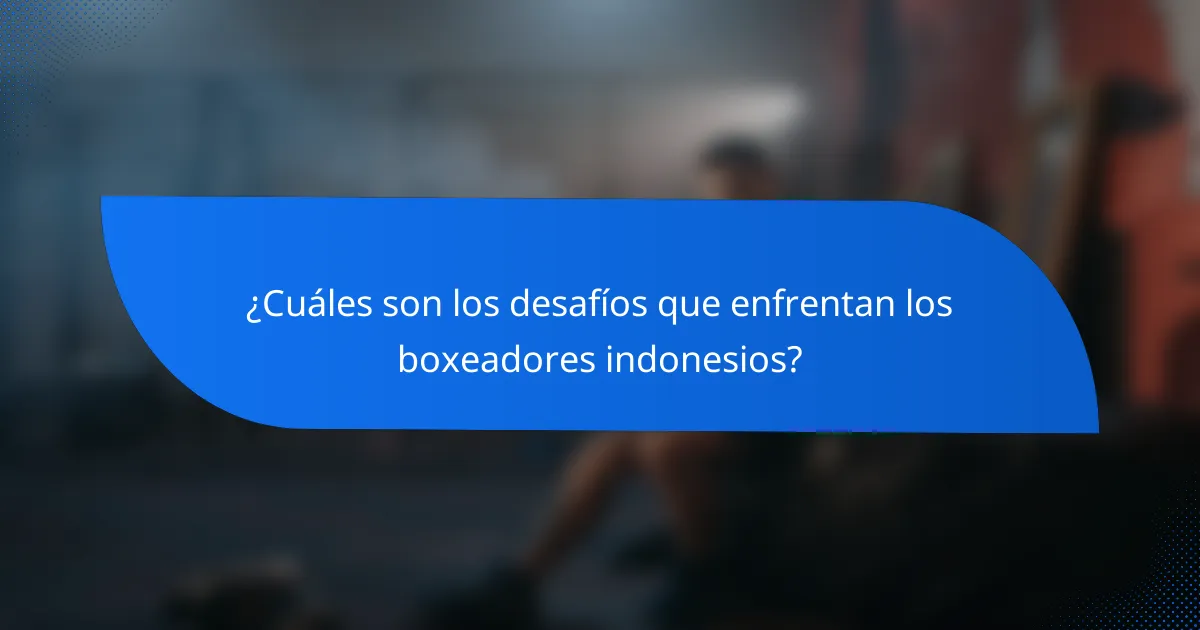¿Cuáles son los desafíos que enfrentan los boxeadores indonesios?