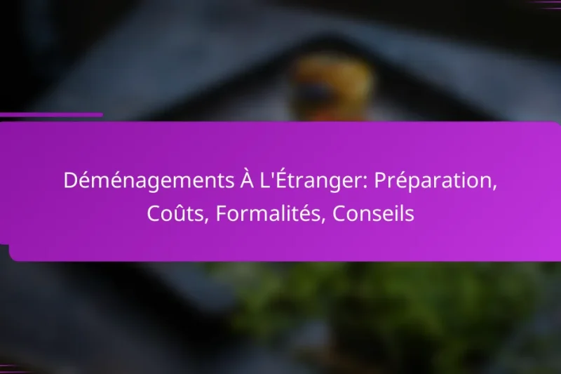 Déménagements À L’Étranger: Préparation, Coûts, Formalités, Conseils