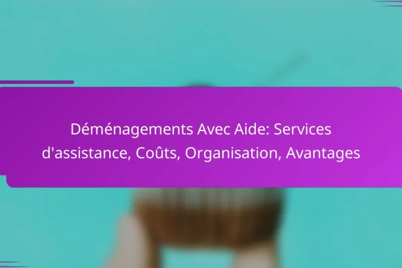 Déménagements Avec Aide: Services d’assistance, Coûts, Organisation, Avantages