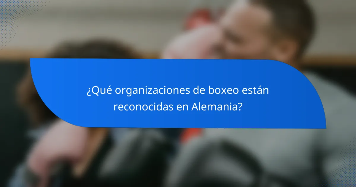 ¿Qué organizaciones de boxeo están reconocidas en Alemania?