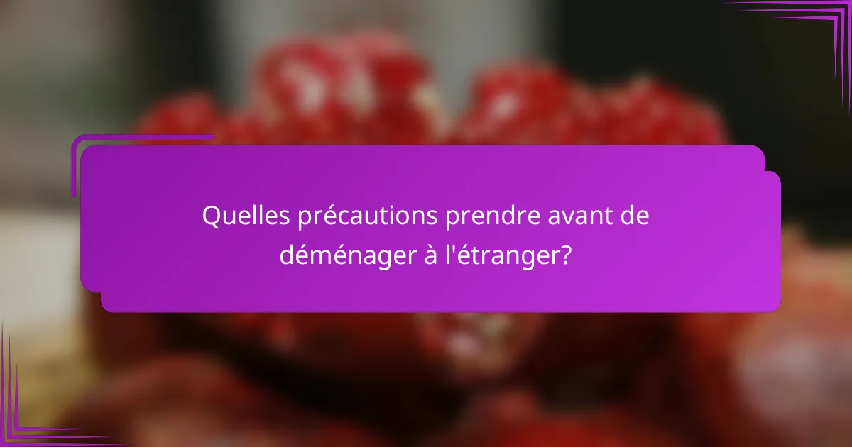 Quelles précautions prendre avant de déménager à l'étranger?