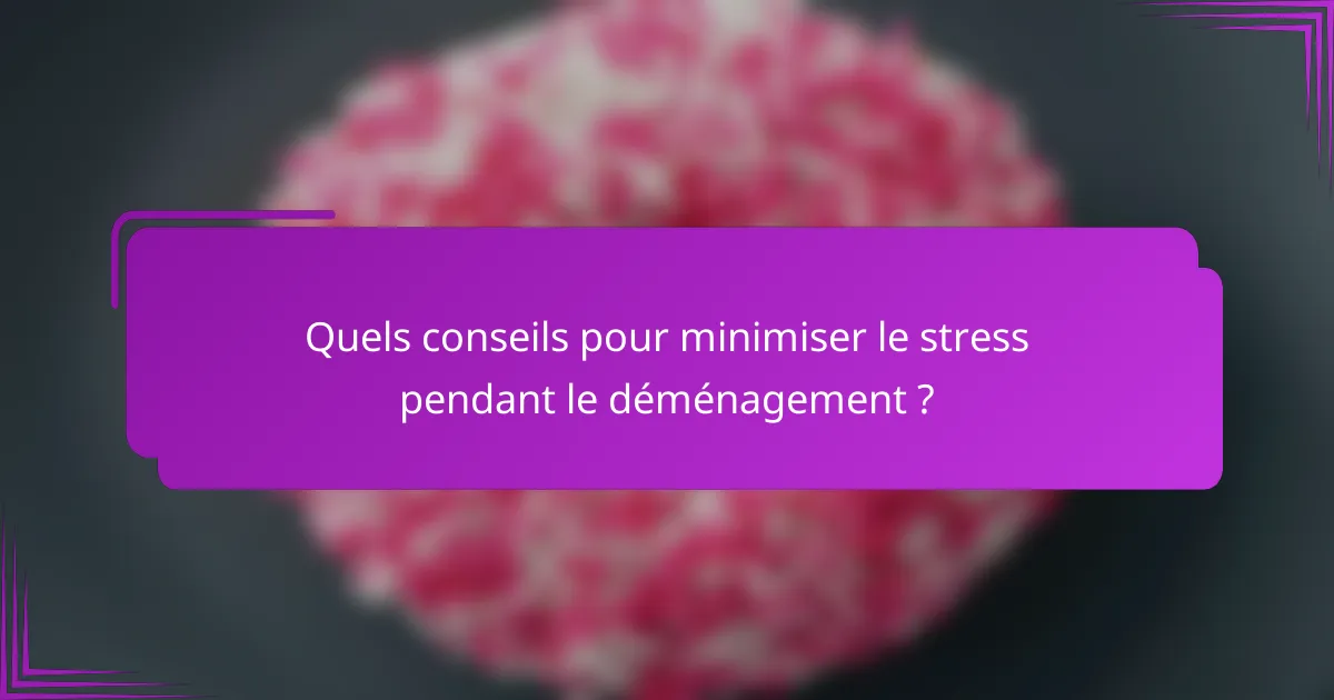Quels conseils pour minimiser le stress pendant le déménagement ?
