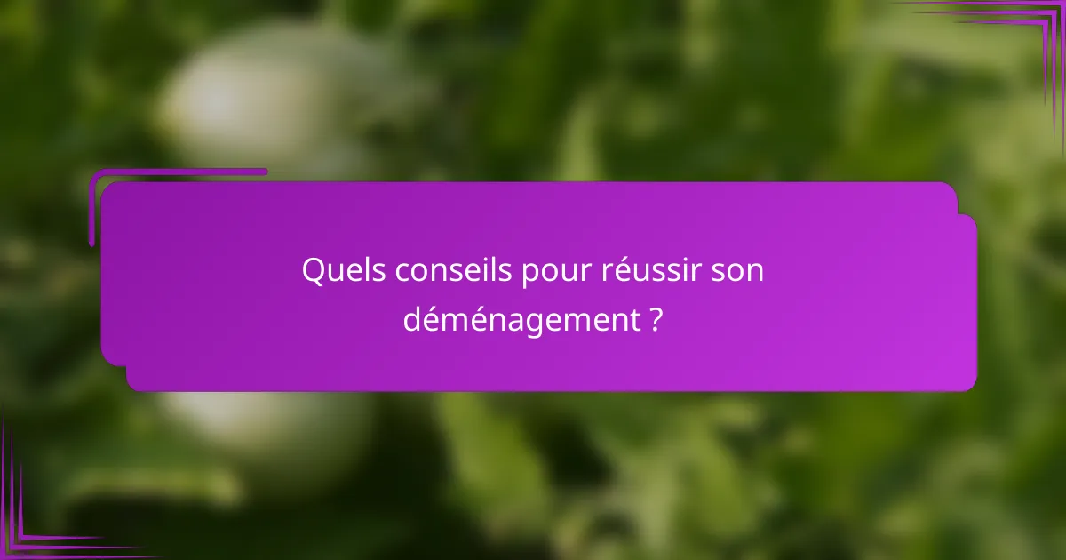 Quels conseils pour réussir son déménagement ?