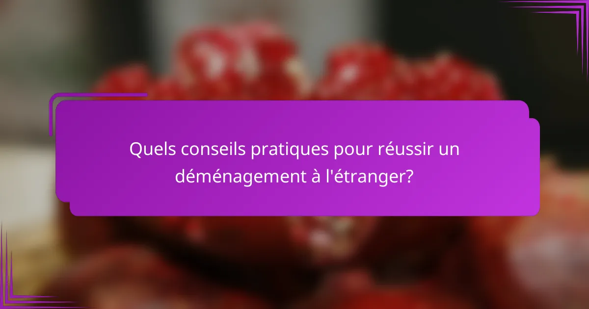 Quels conseils pratiques pour réussir un déménagement à l'étranger?