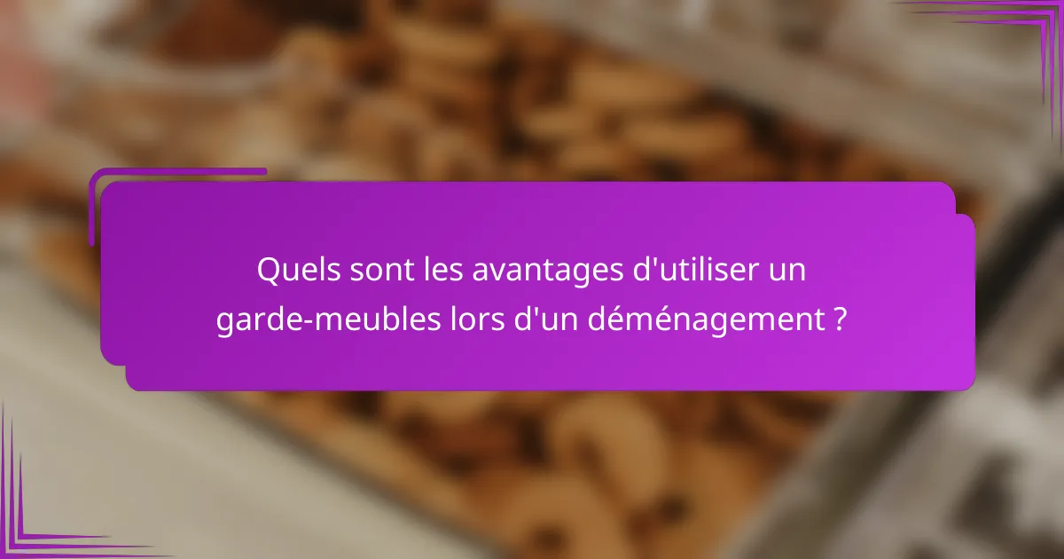Quels sont les avantages d'utiliser un garde-meubles lors d'un déménagement ?